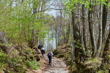 escursione monte calisio