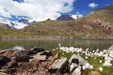 escursione rifugio larcher cevedale lago marmotte