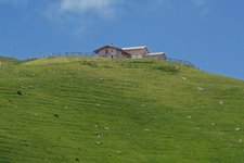 rifugio malga campei