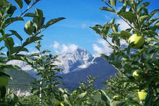 strada delle mele trentino