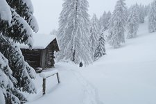 winterwald bei rosengarten karerpass holzhuette