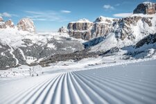 Copertina sitc inverno Andrea Costa