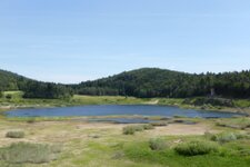 PeerRS C lago di andalo