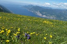 clima primavera in trentino