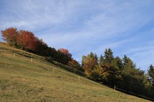 clima trentino autunno