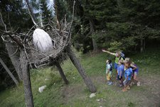 sentiero tematico Forestadei Draghi predazzo valdifiemme trentino ph Modica 