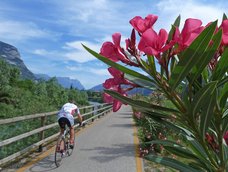 bici mtb trentino rad