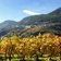 val di cembra altavalle autunno