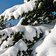 Skigebiet Alta Badia Winterlandschaft generic