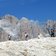 escursione pale di san martino fradusta