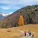 sentiero per malga san giovanni al monte autunno