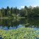 escursione lago di cei