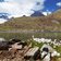 escursione rifugio larcher cevedale lago marmotte