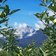 strada delle mele trentino