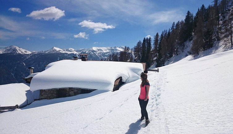 vista di Malga Bolentina Alta e sullo sfondo il Monte Peller e il Sasso Rosso