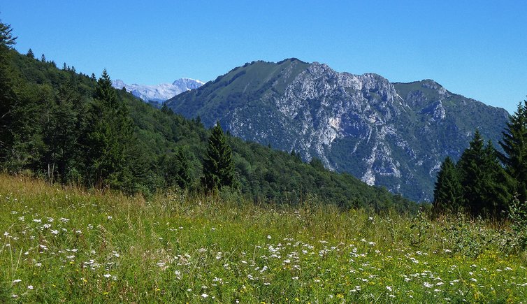 ledro prati di malga vil