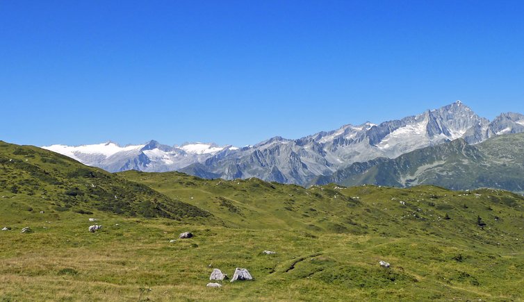 adamello care alto presanella