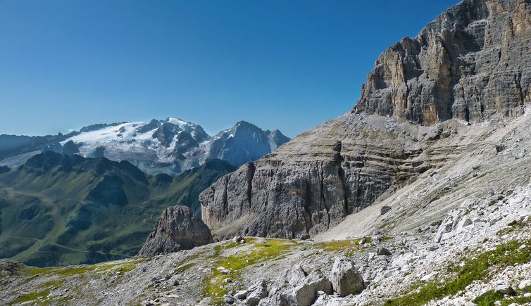 marmolata gletscher punta di penia