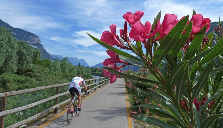 bici mtb trentino rad