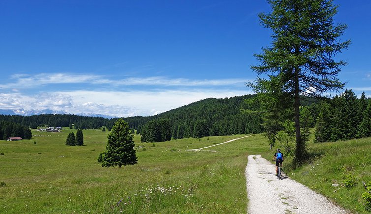 lusern prati di malga millegrobbe km dei forti bici