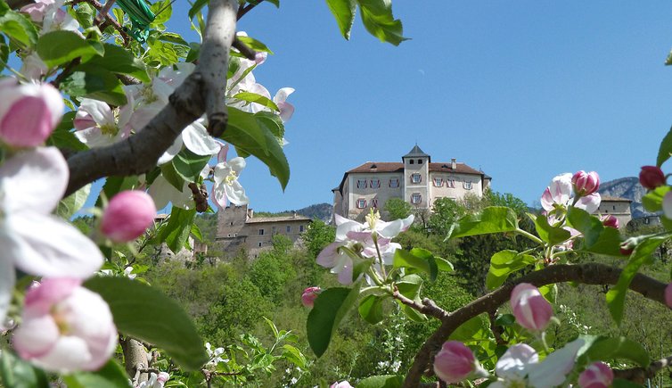 percorsi d anaunia castel thun