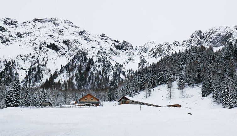 malga monzoni malga di munciogn