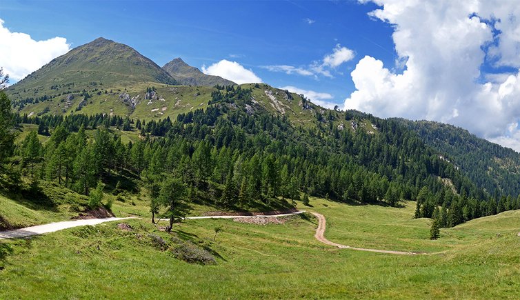 malga castrin passo castrin kornigl und hofmahdwiesen bei aleralm