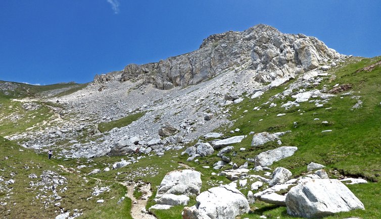 escursione passo feudo latemar pampeago