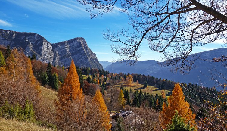 autunno larici prati del monte lefre vista vs monte mezza