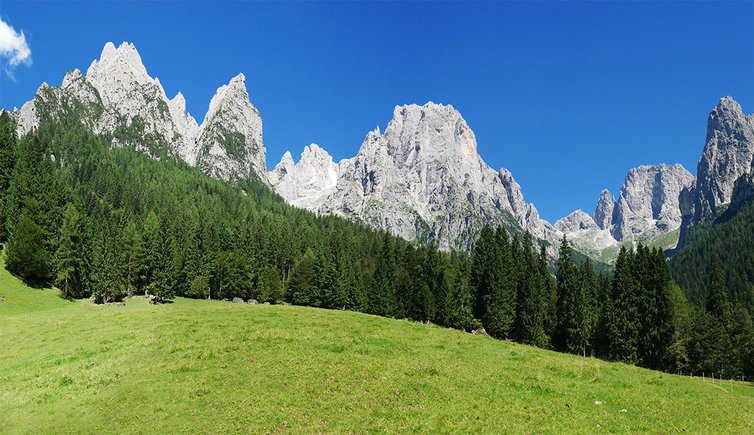 val canali da malga canali