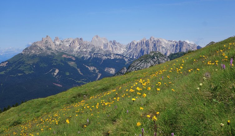 prati di lusia vista verso costalunga e catinaccio