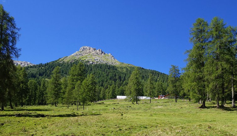 agritur malga secine passo di costalunga latemar