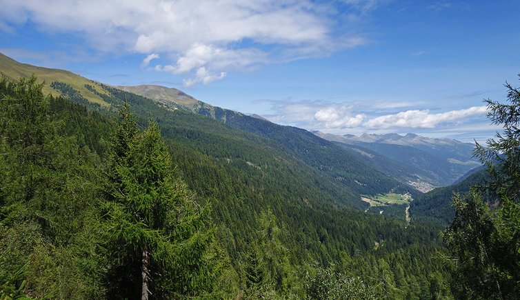 redival e monte palu sopra val di vermiglio