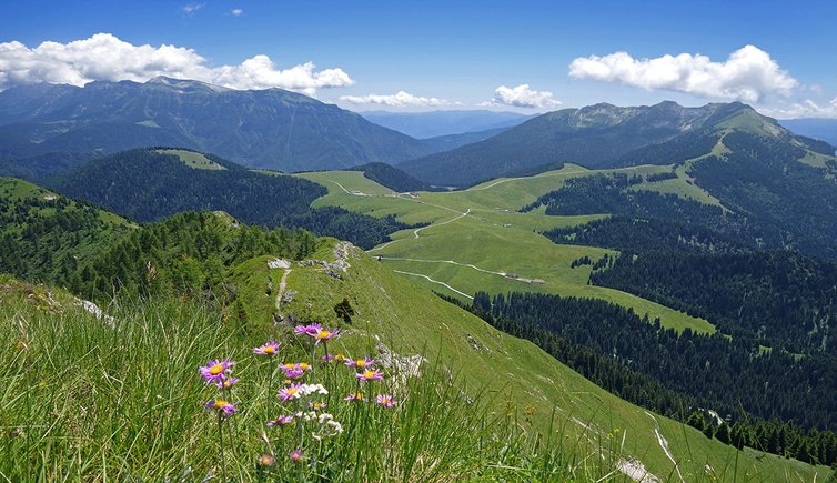 sentiero trodo dei fiori