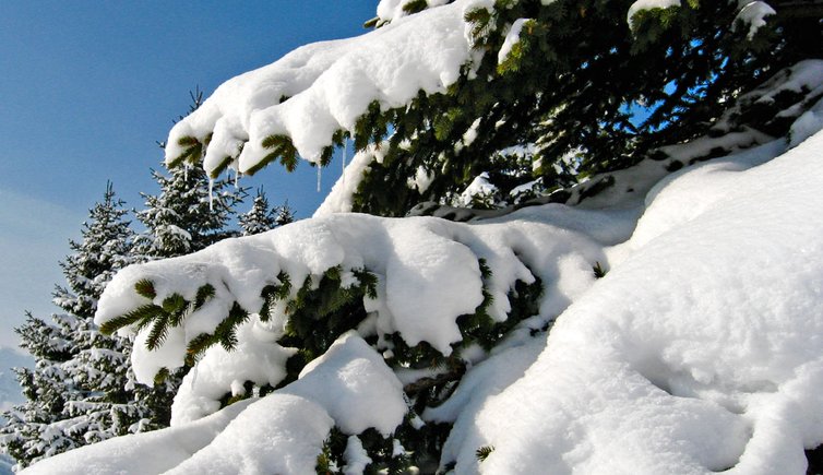 Skigebiet Alta Badia Winterlandschaft generic