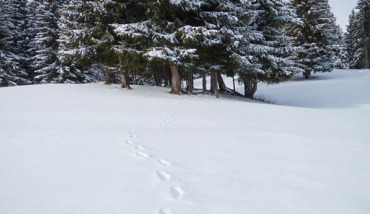 rifugio maranza ciaspole