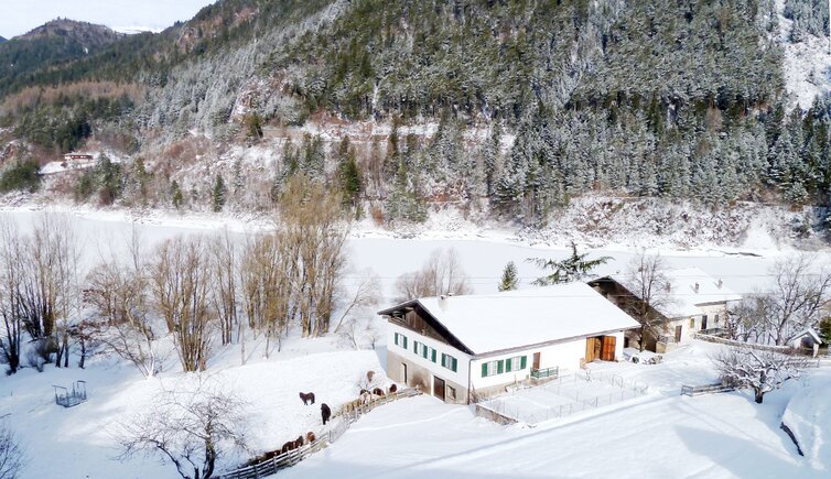 stramentizzo inverno cavalli pony