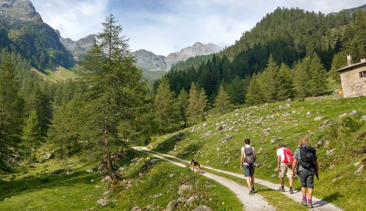 sentiero val maleda