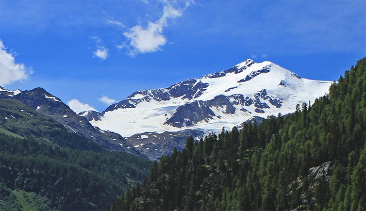 Zufallspitze Cevedale