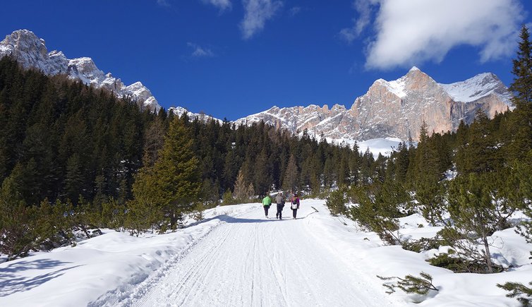 sentiero invernale per gardeccia