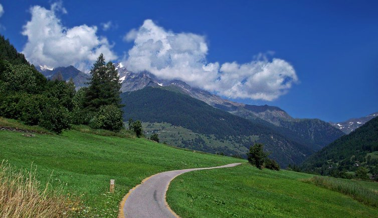 pista ciclabile val di sole radweg