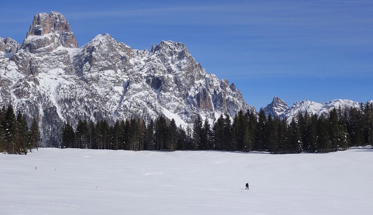 calaita inverno escursionista con ciaspole sfondo pale di san martino