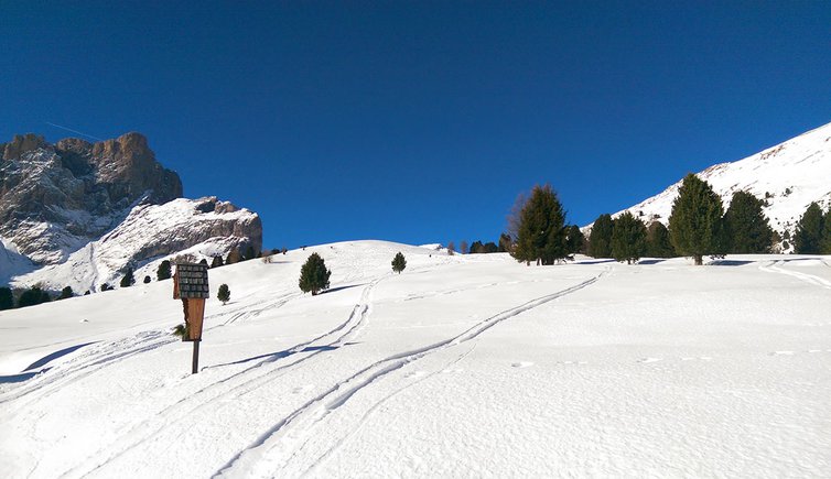 escursione invernale Passo Lusia