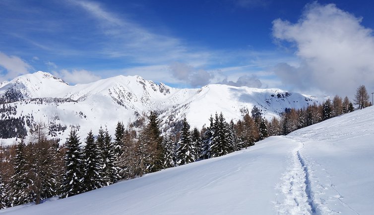 sentiero ciaspole monte agaro ski lagorai