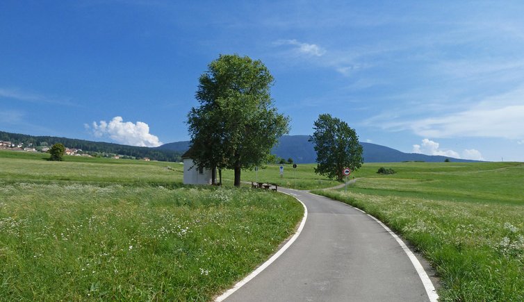 pista ciclabile alta val di non radweg