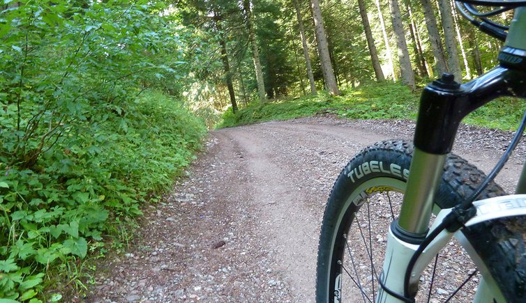 dolomiti brenta bike salita val di sole monte peller