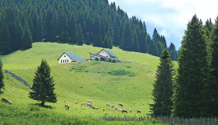 malga vallorsara agritur val orsara