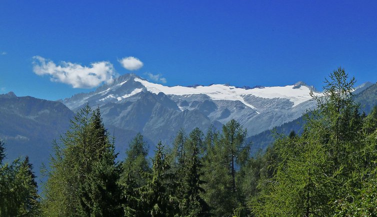 parco naturale adamello brenta care alto