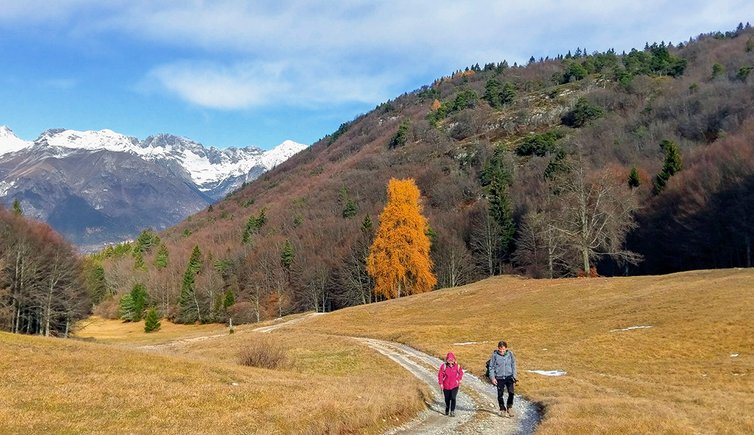 sentiero per malga san giovanni al monte autunno