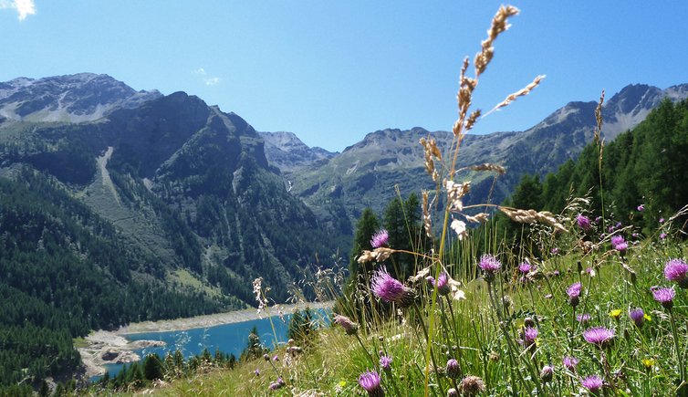 discesa al lago di pian palu